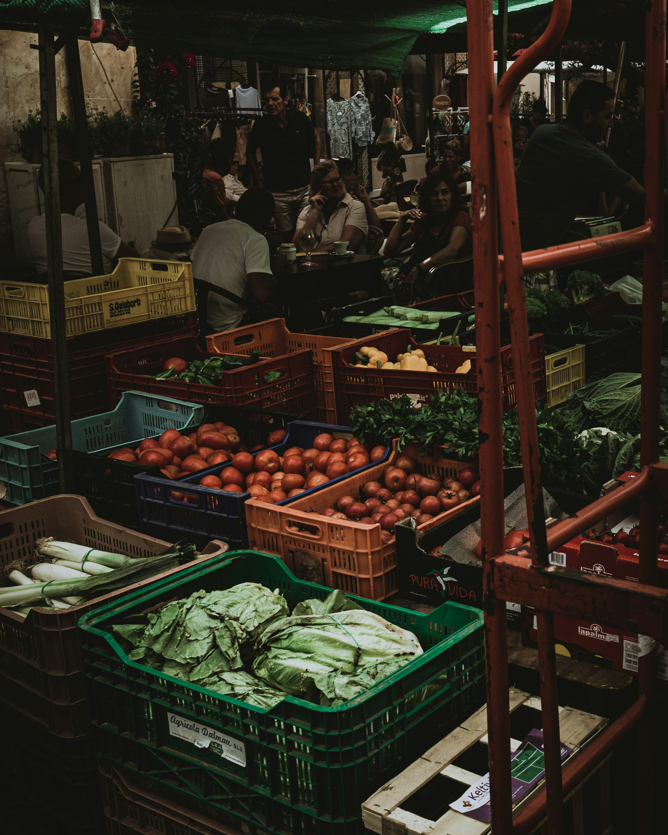 Indian agricultural exporter - Sustainable farming practices
