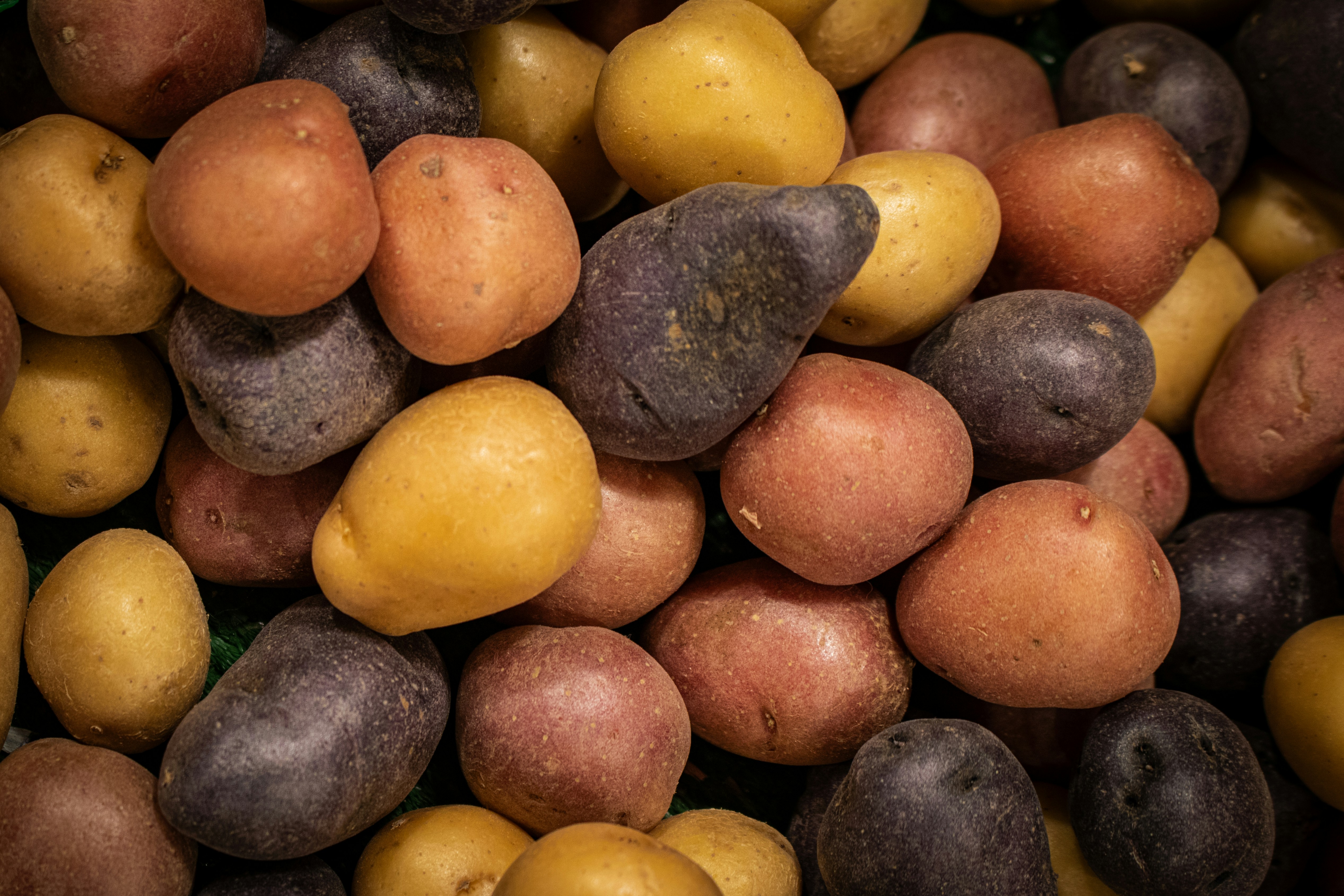 Agriculture export services India - International logistics and shipping